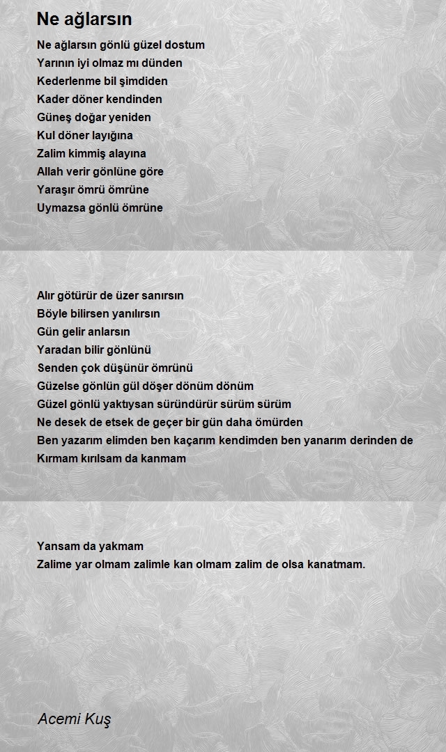 Acemi Kuş