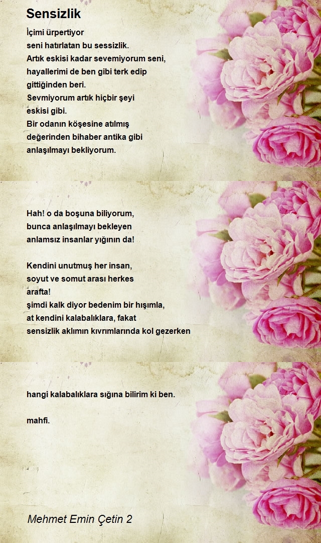 Mehmet Emin Çetin 2