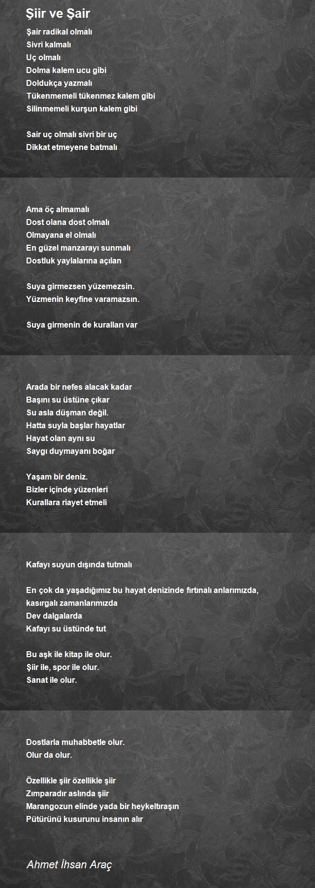 Ahmet Ihsan Arac