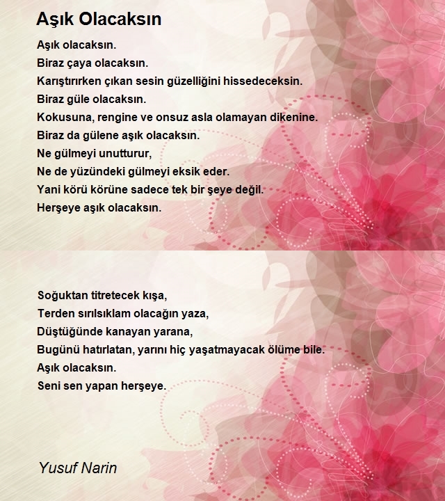Yusuf Narin