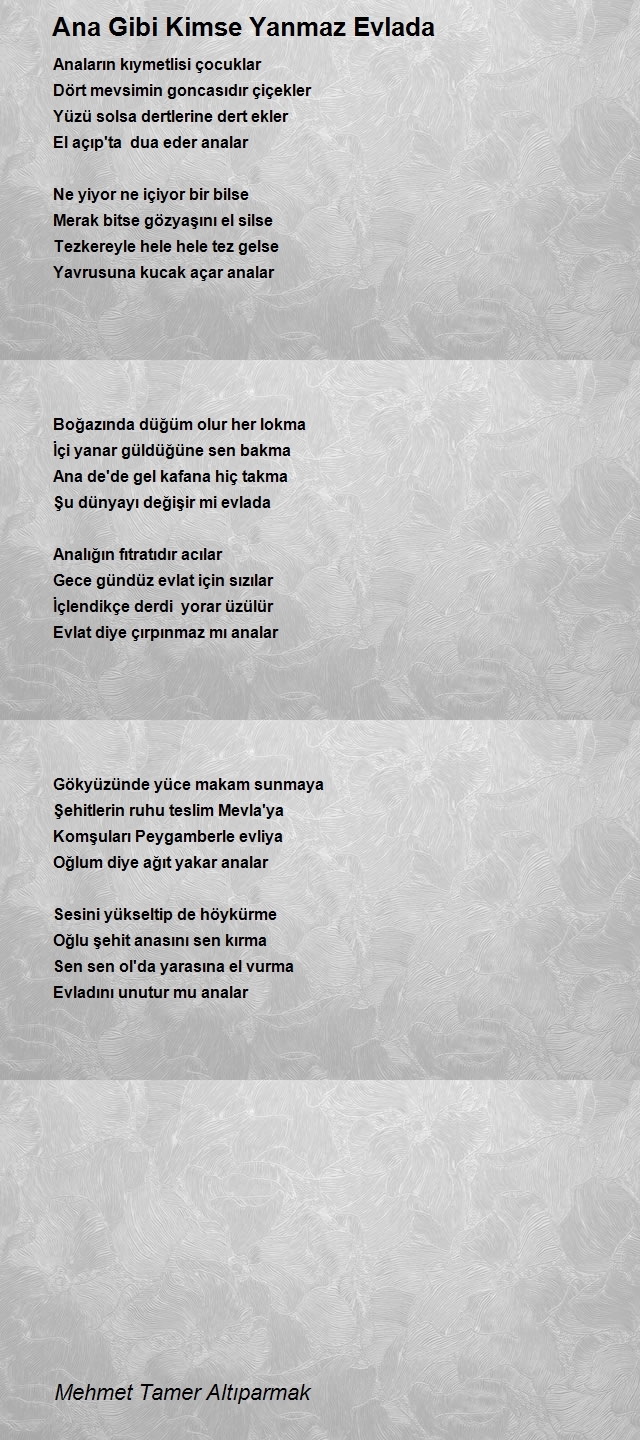 Mehmet Tamer Altıparmak