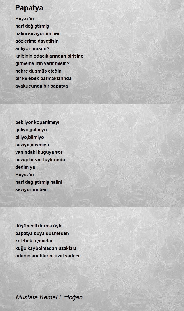 Mustafa Kemal Erdoğan