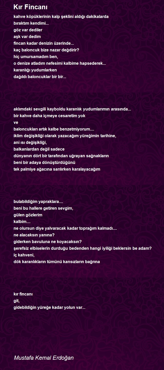 Mustafa Kemal Erdoğan
