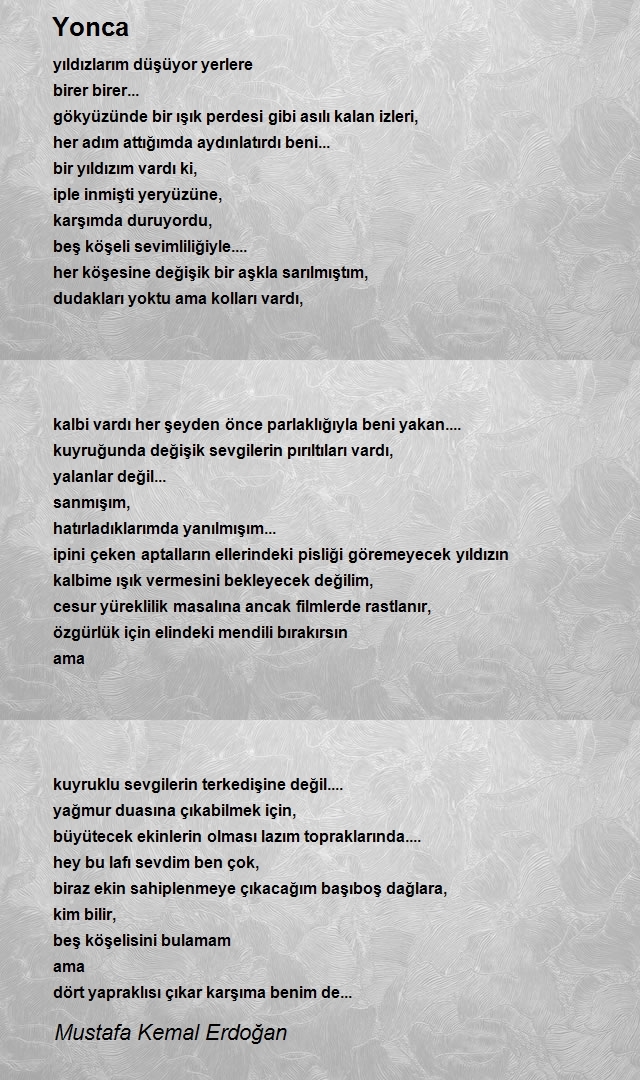Mustafa Kemal Erdoğan