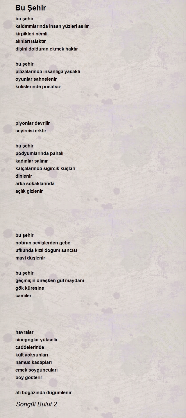 Songül Bulut 2