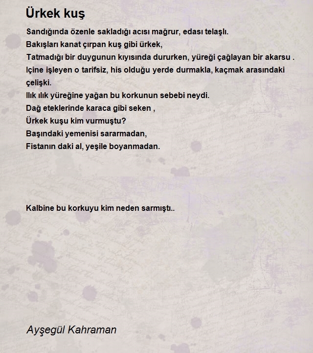 Ayşegül Kahraman