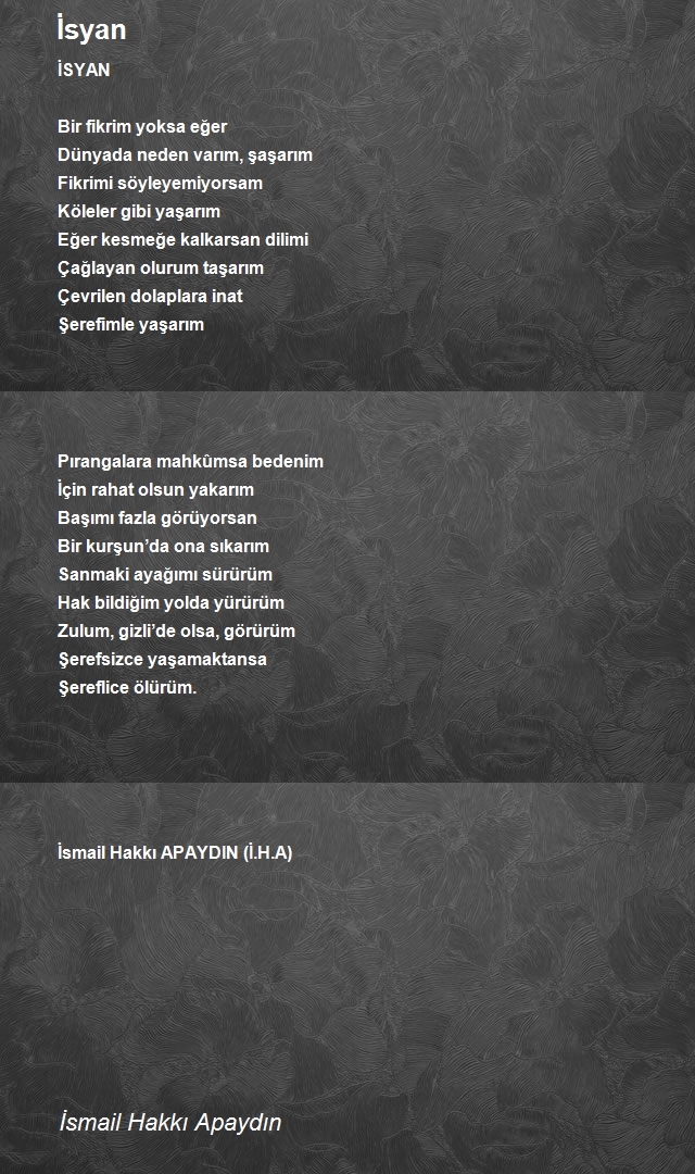 İsmail Hakkı Apaydın