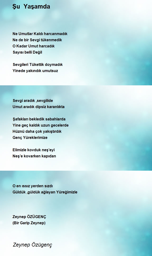 Zeynep Özügenç