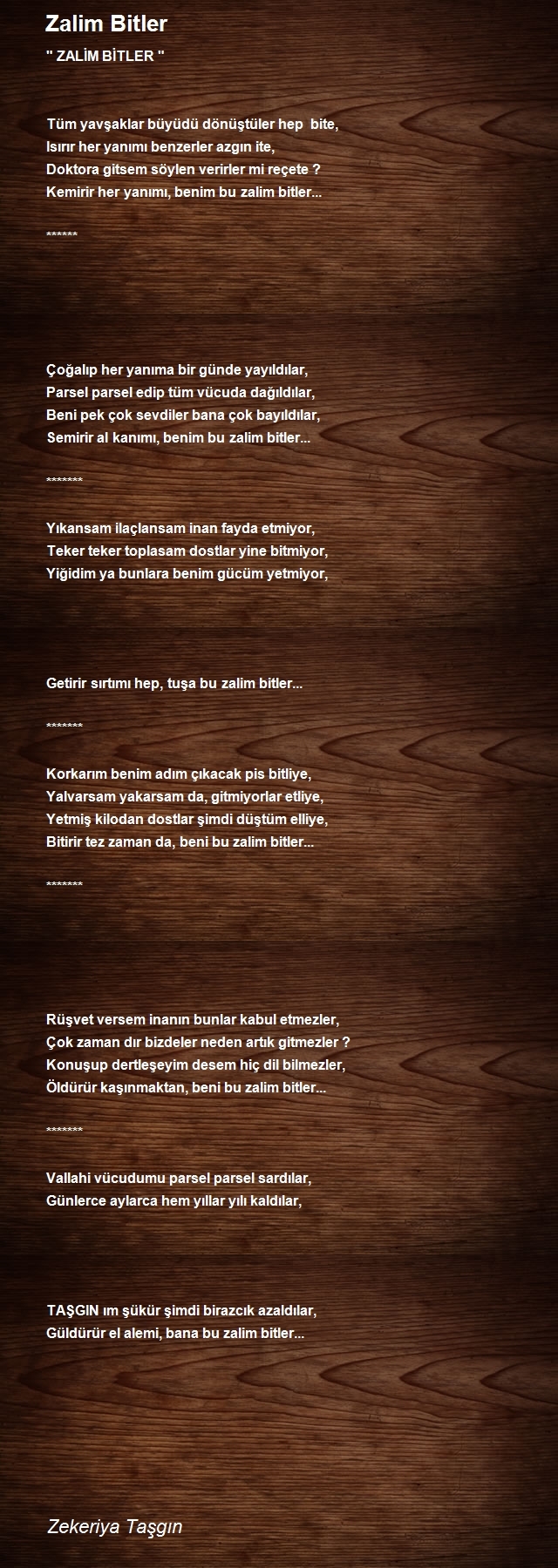 Zekeriya Taşgın