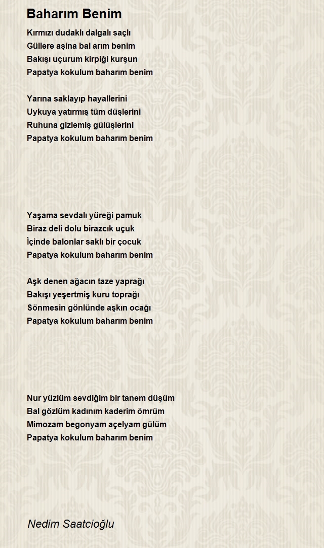 Nedim Saatcioğlu