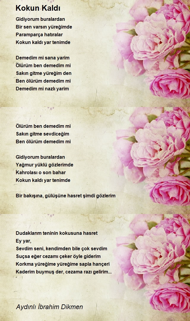 İbrahim Dikmen 2