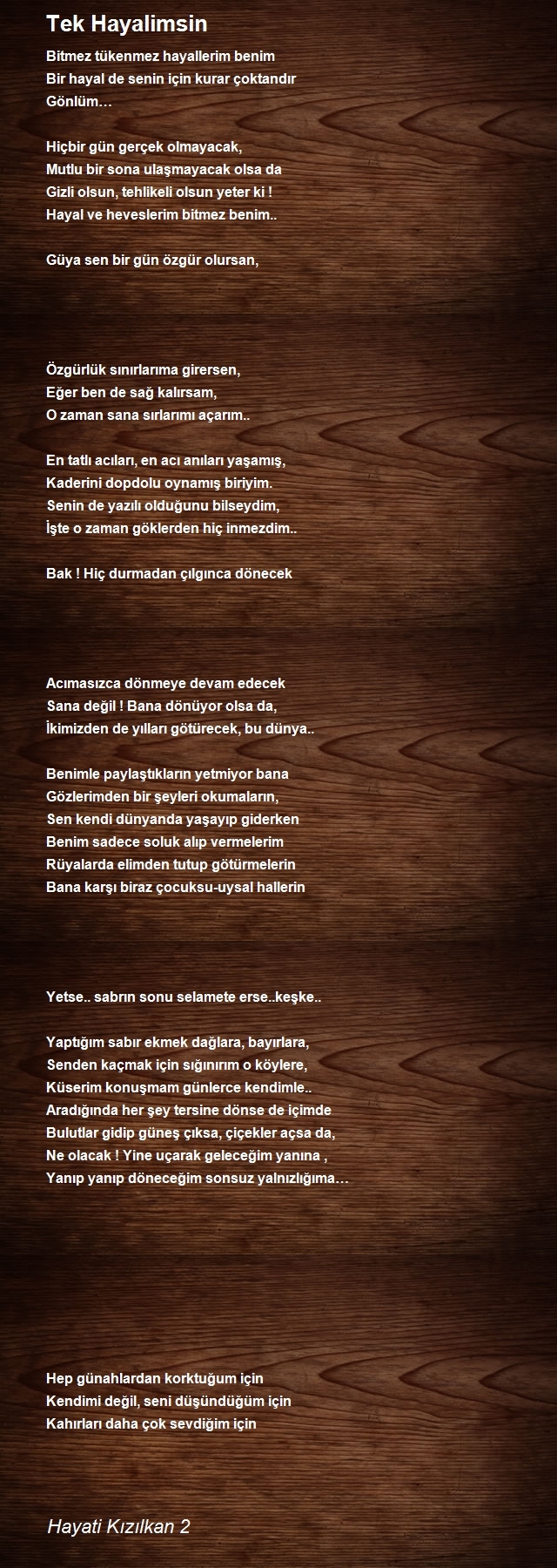 Hayati Kızılkan 2
