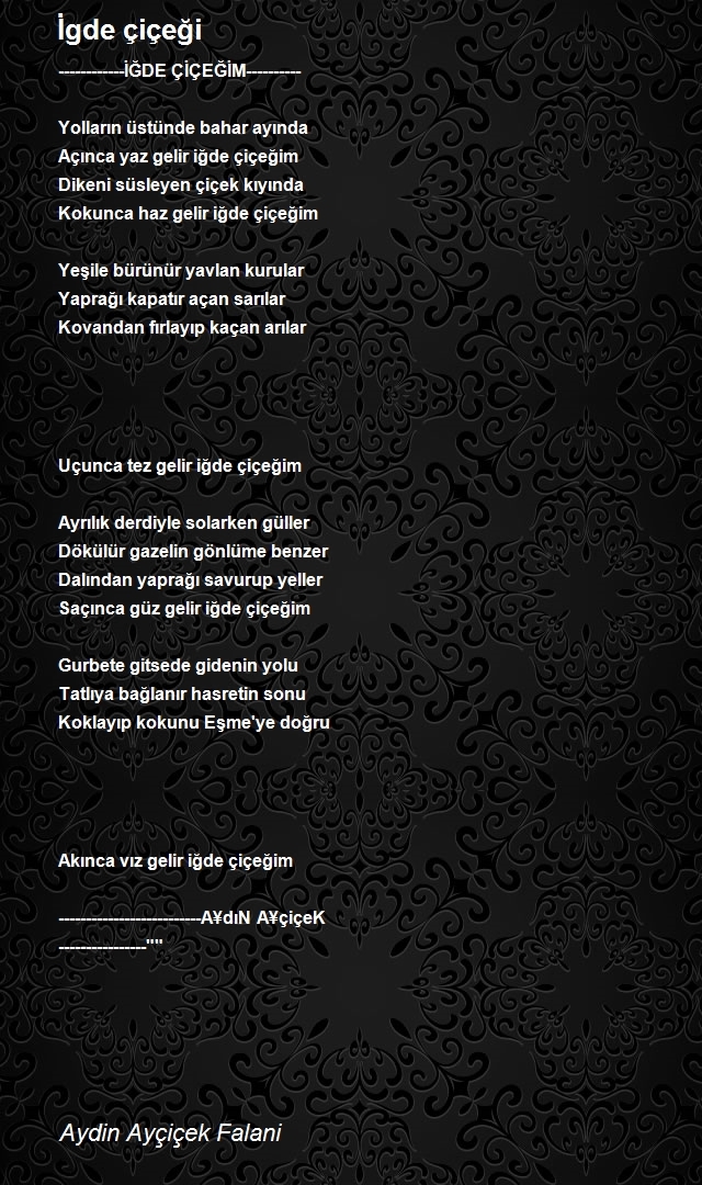 Aydin Ayçiçek Falani