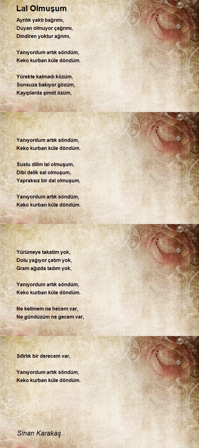Sinan Karakaş