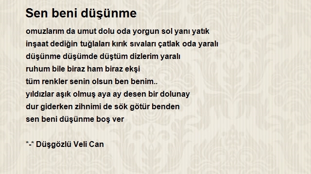 Veli Can