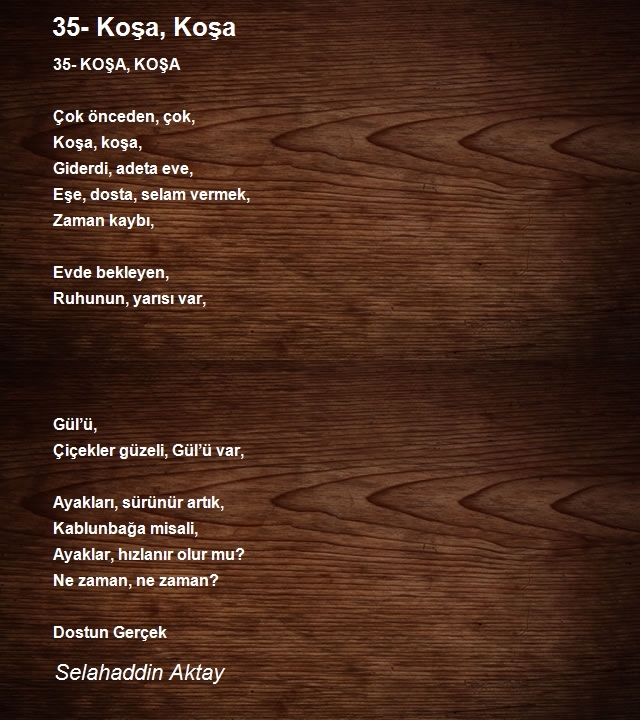 Selahaddin Aktay