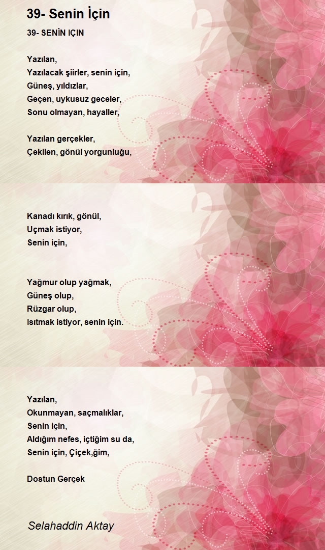 Selahaddin Aktay