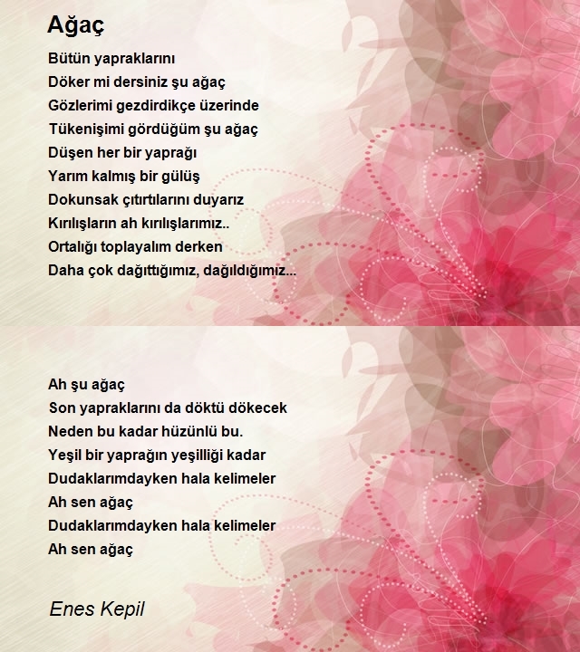 Enes Kepil