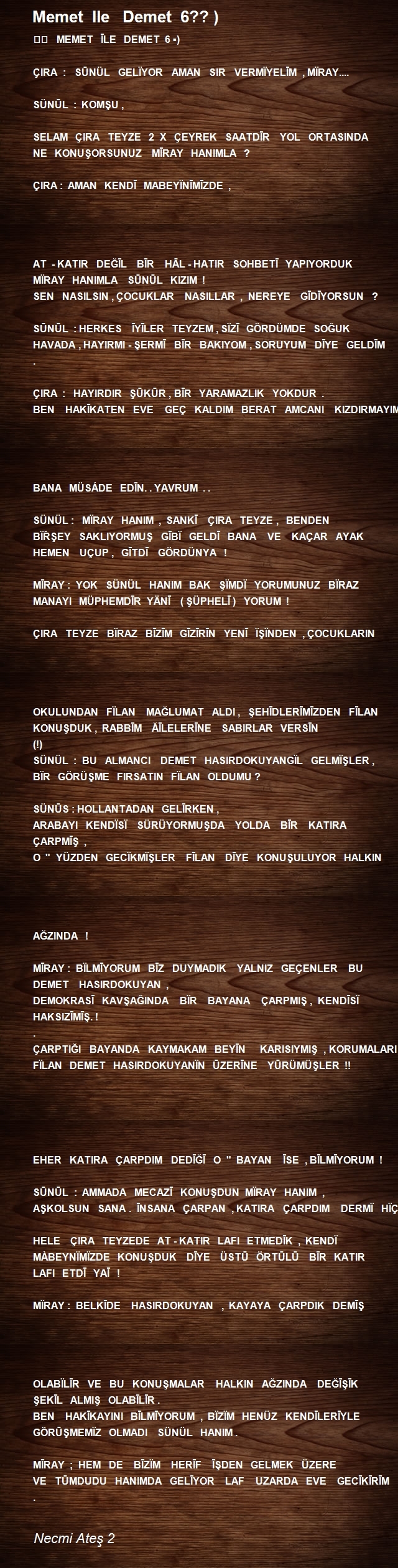 Necmi Ateş 2