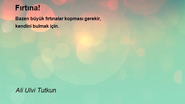 Ali Ulvi Tutkun