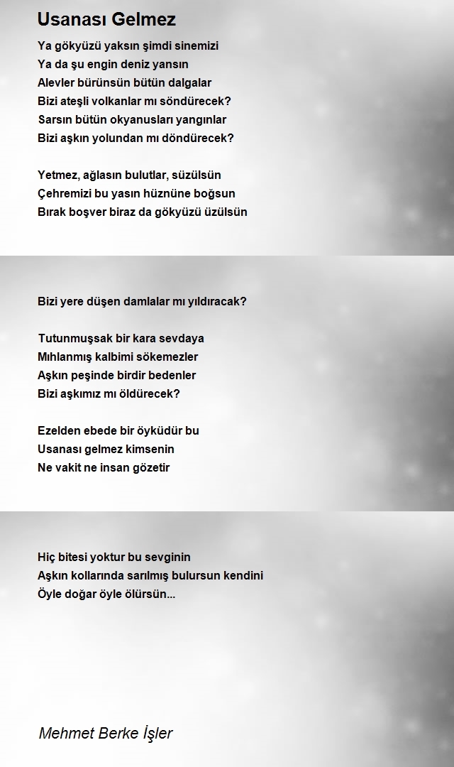 Mehmet Berke İşler
