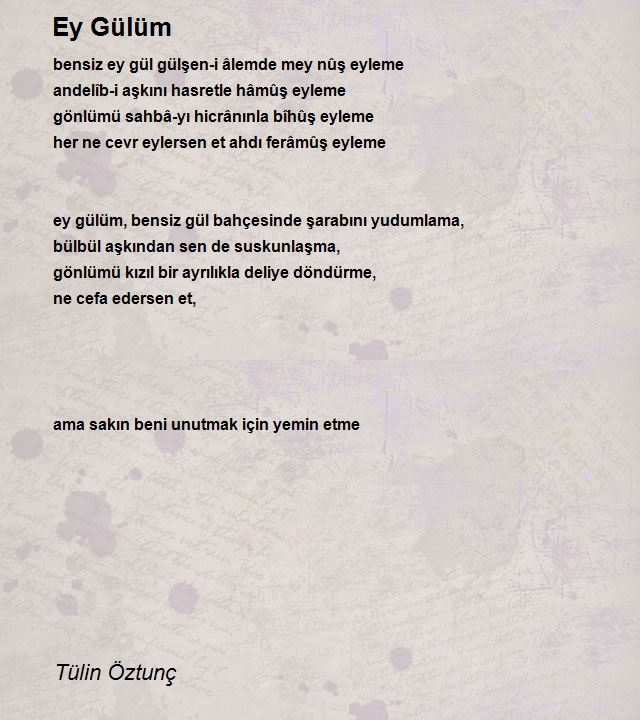 Tülin Öztunç