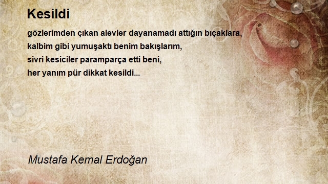 Mustafa Kemal Erdoğan
