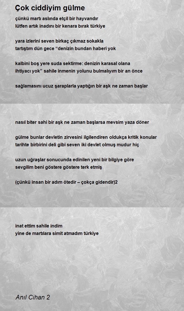 Anıl Cihan 2