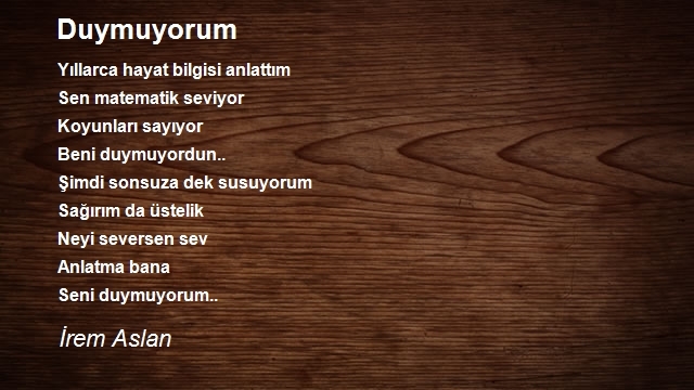 İrem Aslan