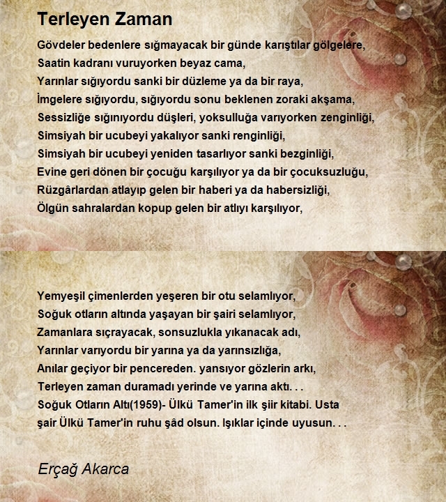 Erçağ Akarca