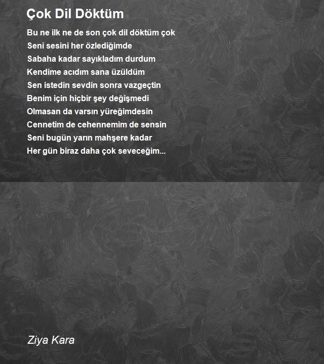 Ziya Kara