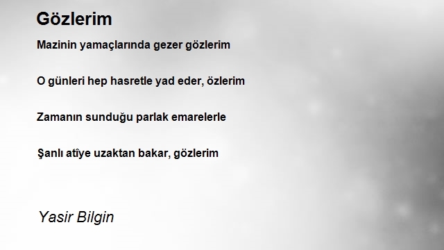 Yasir Bilgin