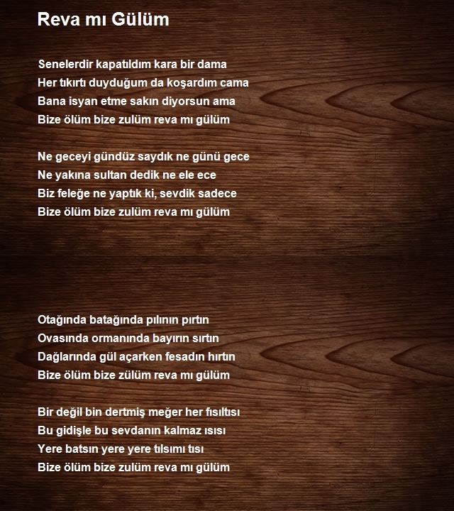 Murat Demir