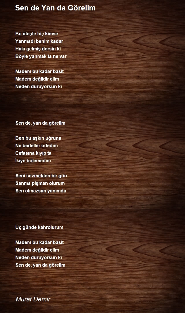Murat Demir