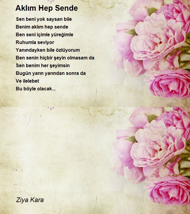 Ziya Kara