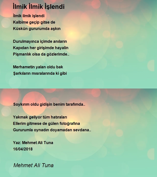 Mehmet Ali Tuna