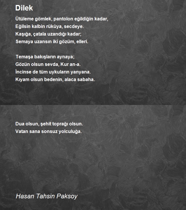 Hasan Tahsin Paksoy