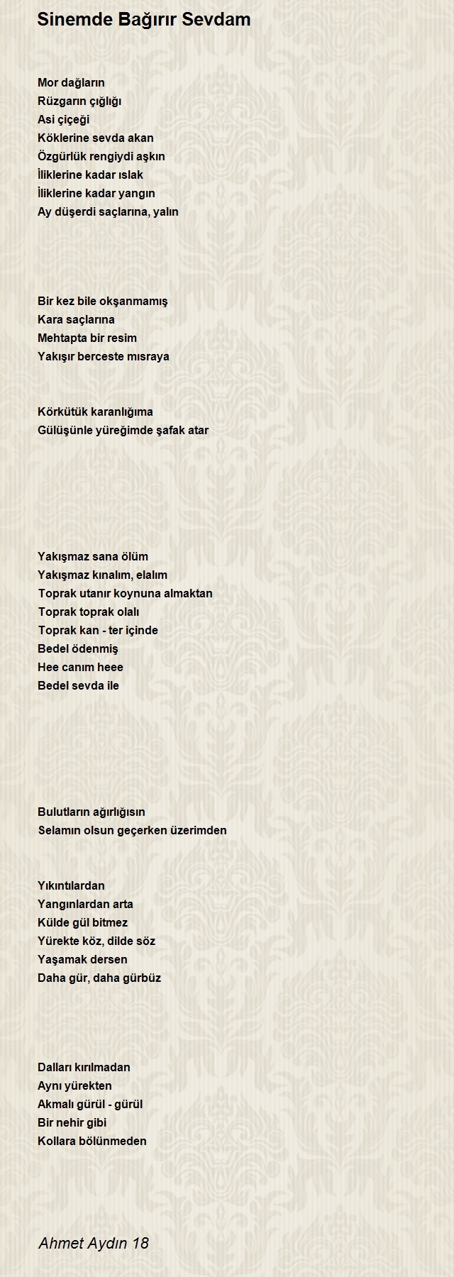 Ahmet Aydın 18