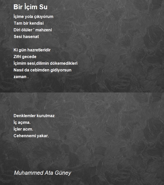 Muhammed Ata Güney