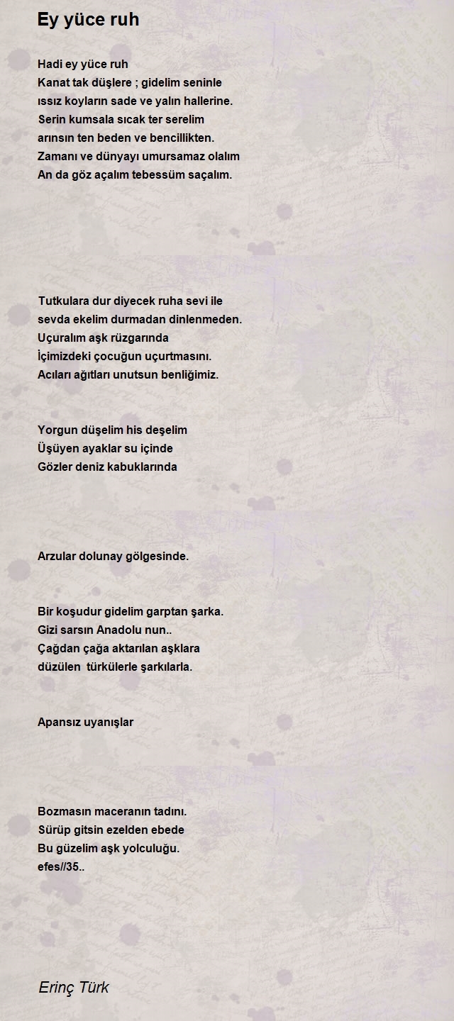 Erinç Türk
