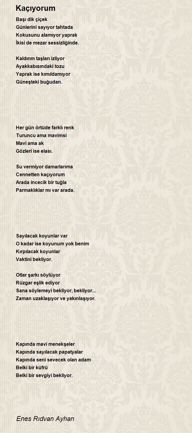 Enes Rıdvan Ayhan