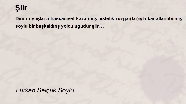 Furkan Selçuk Soylu