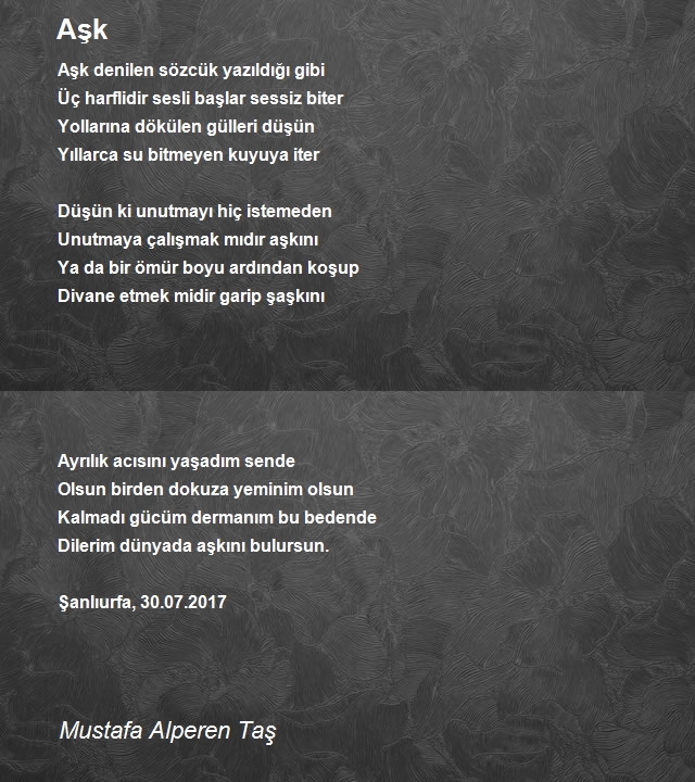 Mustafa Alperen Taş