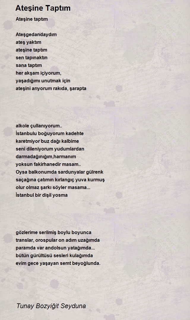 Tunay Bozyiğit Seyduna