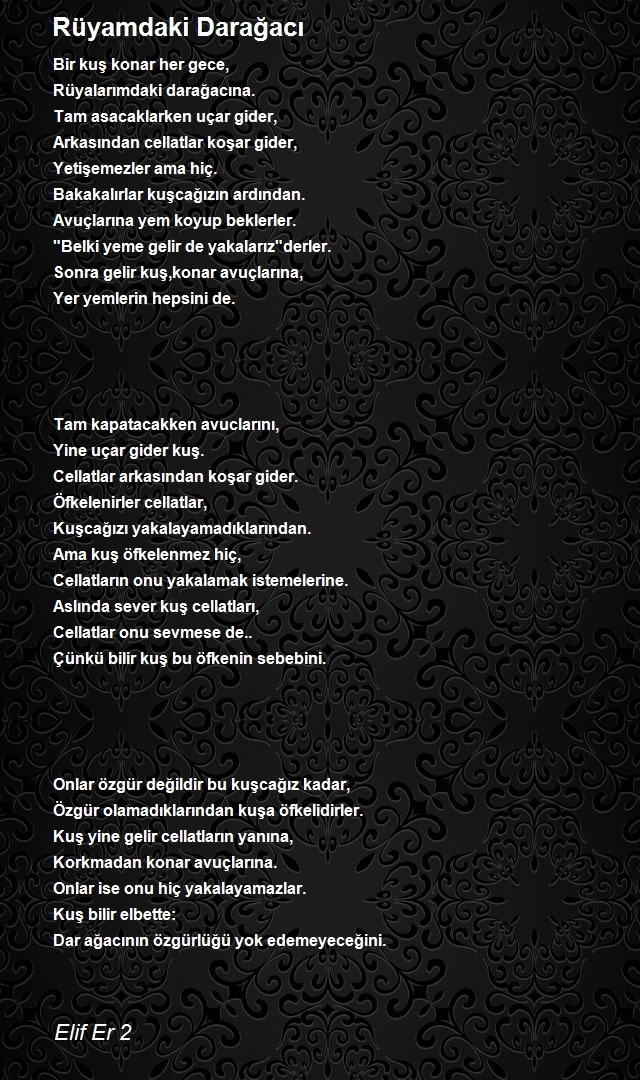 Elif Er 2