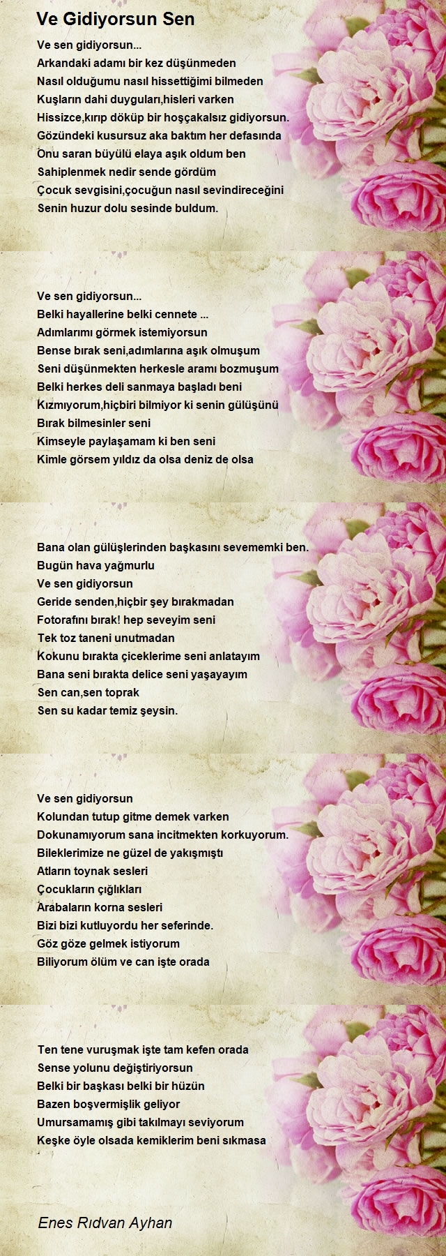 Enes Rıdvan Ayhan