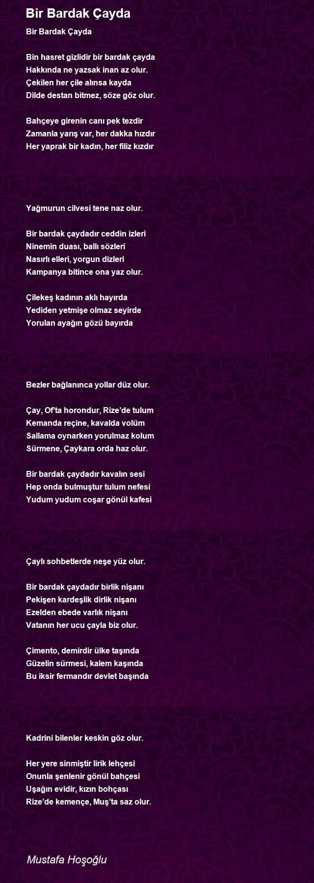 Mustafa Hoşoğlu