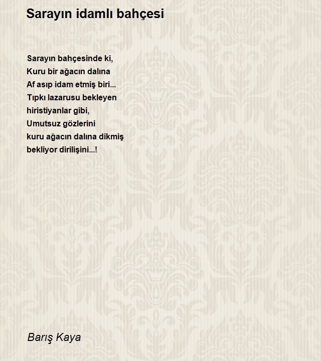 Barış Kaya