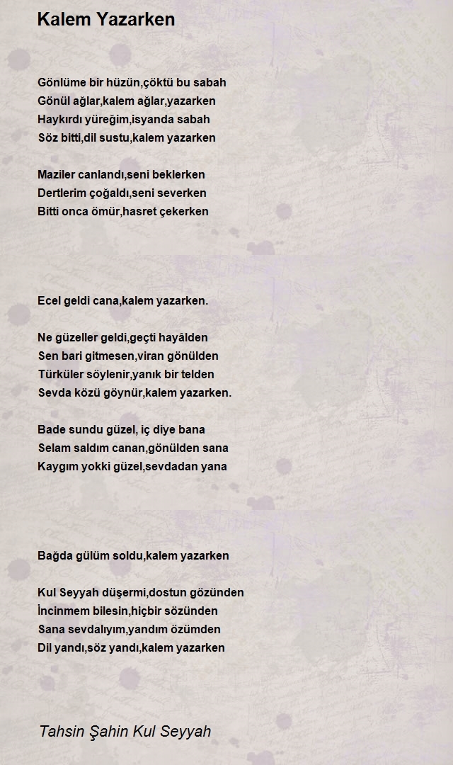 Tahsin Şahin Kul Seyyah