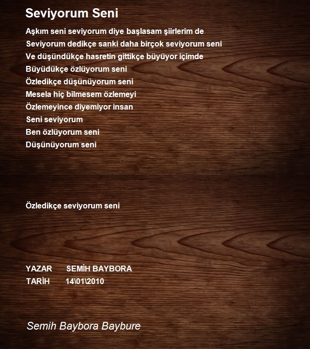Semih Baybora Baybure